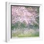 Floral Froth I-Doug Chinnery-Framed Photographic Print