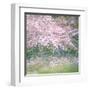 Floral Froth I-Doug Chinnery-Framed Premium Photographic Print