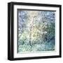 Floral Froth II-Doug Chinnery-Framed Premium Photographic Print