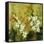 Floral Garden-Rikki Drotar-Framed Stretched Canvas