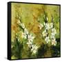 Floral Garden-Rikki Drotar-Framed Stretched Canvas