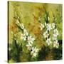 Floral Garden-Rikki Drotar-Stretched Canvas