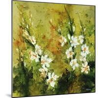 Floral Garden-Rikki Drotar-Mounted Giclee Print