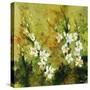 Floral Garden-Rikki Drotar-Stretched Canvas