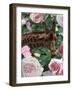 Floral Giraffe-Diane Stimson-Framed Art Print