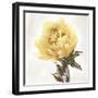 Floral Glow-Tania Bello-Framed Giclee Print