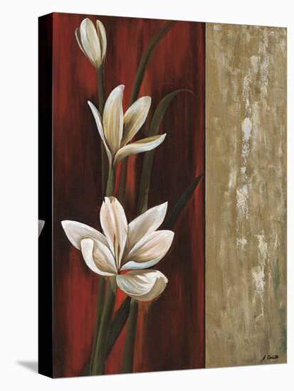 Floral Gold I-Emmanuel Cometa-Stretched Canvas