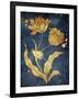 Floral Golden Blues Mate-Jace Grey-Framed Art Print