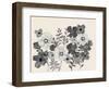 Floral Gossip-Doris Charest-Framed Art Print