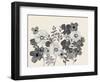 Floral Gossip-Doris Charest-Framed Art Print