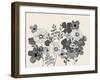 Floral Gossip-Doris Charest-Framed Art Print