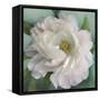 Floral Grace-Studio M-Framed Stretched Canvas