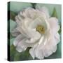 Floral Grace-Studio M-Stretched Canvas