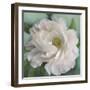 Floral Grace-Studio M-Framed Art Print