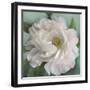 Floral Grace-Studio M-Framed Art Print