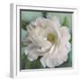 Floral Grace-Studio M-Framed Art Print