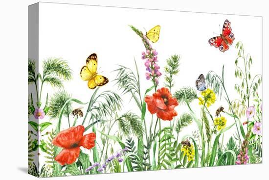 Floral Horizontal Seamless Border with Watercolor Wildflowers, Red Poppies, Bees and Butterflies. S-Val_Iva-Stretched Canvas