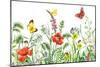 Floral Horizontal Seamless Border with Watercolor Wildflowers, Red Poppies, Bees and Butterflies. S-Val_Iva-Mounted Premium Giclee Print