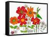 Floral & Hummingbird-Blenda Tyvoll-Framed Stretched Canvas