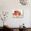 Floral & Hummingbird-Blenda Tyvoll-Stretched Canvas displayed on a wall