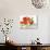 Floral & Hummingbird-Blenda Tyvoll-Art Print displayed on a wall