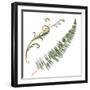 Floral I-Linda Baliko-Framed Art Print