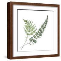 Floral II-Linda Baliko-Framed Art Print