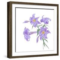 Floral III-Linda Baliko-Framed Art Print