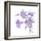 Floral III-Linda Baliko-Framed Art Print