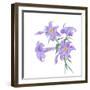 Floral III-Linda Baliko-Framed Art Print