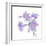 Floral III-Linda Baliko-Framed Art Print