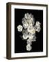 Floral Illusion - Bloom-Diane Lucas-Framed Giclee Print