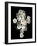 Floral Illusion - Bloom-Diane Lucas-Framed Giclee Print