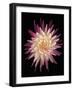 Floral Illusion - Thrive-Diane Lucas-Framed Giclee Print