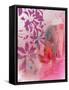 Floral Illusion-Ruth Palmer-Framed Stretched Canvas