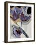 Floral Impressions I-Angela Maritz-Framed Giclee Print