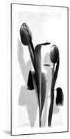 Floral Impressions II-Lucy Meadows-Mounted Giclee Print