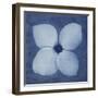 Floral Imprint I-Collezione Botanica-Framed Giclee Print