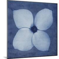 Floral Imprint I-Collezione Botanica-Mounted Giclee Print