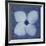 Floral Imprint I-Collezione Botanica-Framed Giclee Print