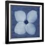 Floral Imprint I-Collezione Botanica-Framed Giclee Print