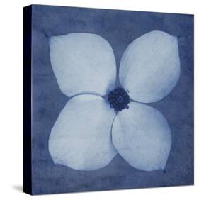 Floral Imprint I-Collezione Botanica-Stretched Canvas