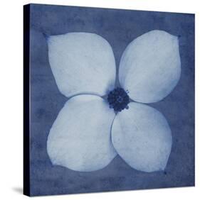 Floral Imprint I-Collezione Botanica-Stretched Canvas