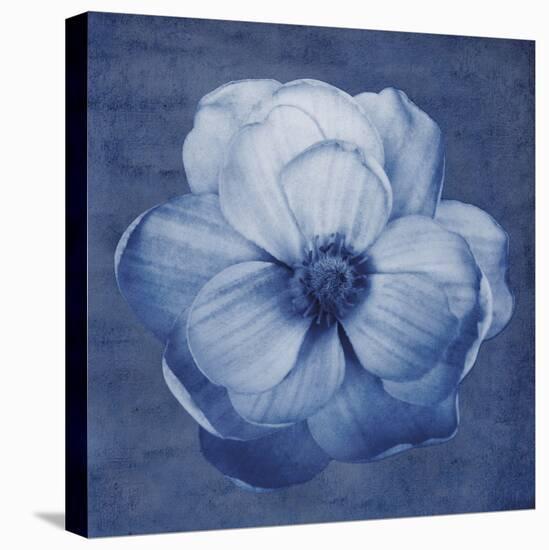 Floral Imprint II-Collezione Botanica-Stretched Canvas