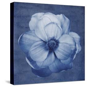 Floral Imprint II-Collezione Botanica-Stretched Canvas