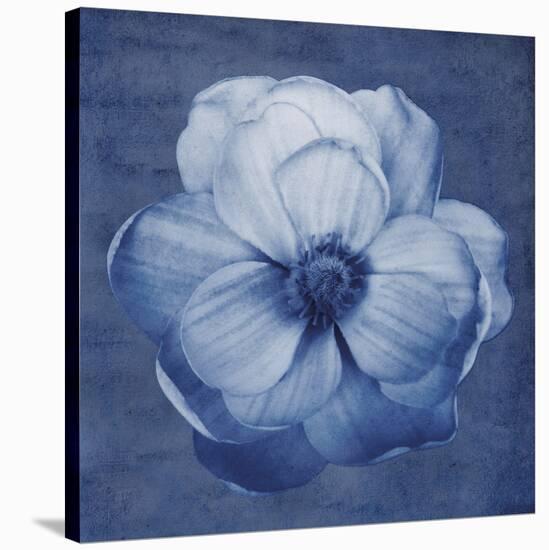 Floral Imprint II-Collezione Botanica-Stretched Canvas