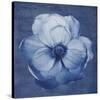 Floral Imprint II-Collezione Botanica-Stretched Canvas