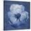 Floral Imprint II-Collezione Botanica-Stretched Canvas