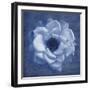 Floral Imprint III-Collezione Botanica-Framed Giclee Print