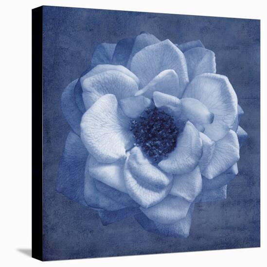 Floral Imprint III-Collezione Botanica-Stretched Canvas